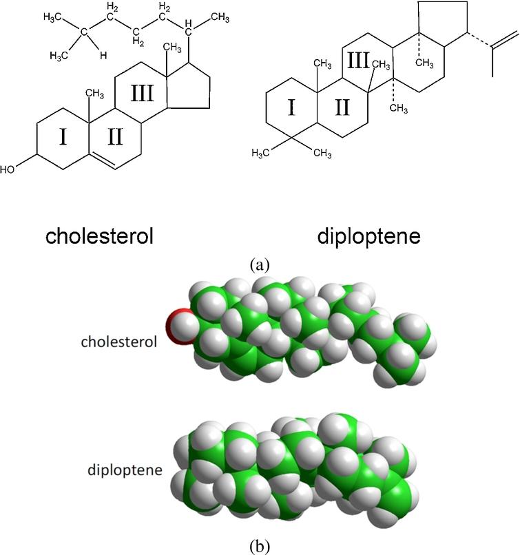 Chemical formulae (a) of cholesterol and the hopanoid diploptene and (b) CPK representation of the same molecules.