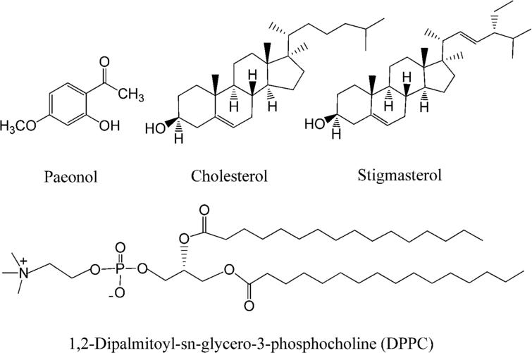 Molecular structures of cholesterol, stigmasterol, paeonol, and 1,2-dipalmitoyl-sn-glycero-3-phosphocholine.