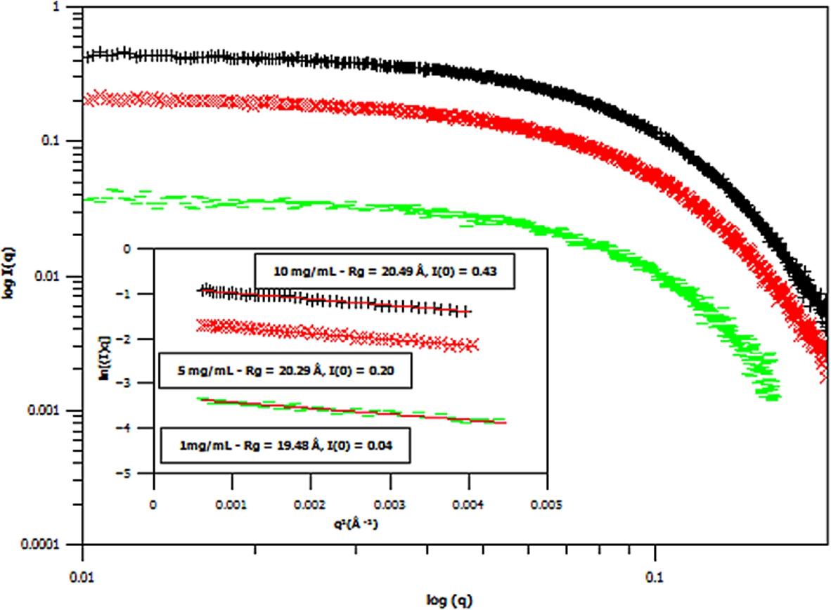 Small angle X-ray scattering (SAXS) curves of three different concentrations of hydrogenous m-GFP in hydrogenous buffer, at 1 mg/mL (green – flat line), 5 mg/mL (red – diagonal cross) and 10 mg/mL (black – cross line) concentrations. The spectra is shown in Log I(q) versus Logq. Data points are plotted where the error bars are less than 5% of the data point value. The protein is in 20 mM Phosphate, 150 mM NaCl buffer at pH 7.5 in ddH2O. The inset show the corresponding Guinier plots of the SAXS scattering curves, with the calculated radius of gyration (Rg) and intensity at zero angle (I(0)).