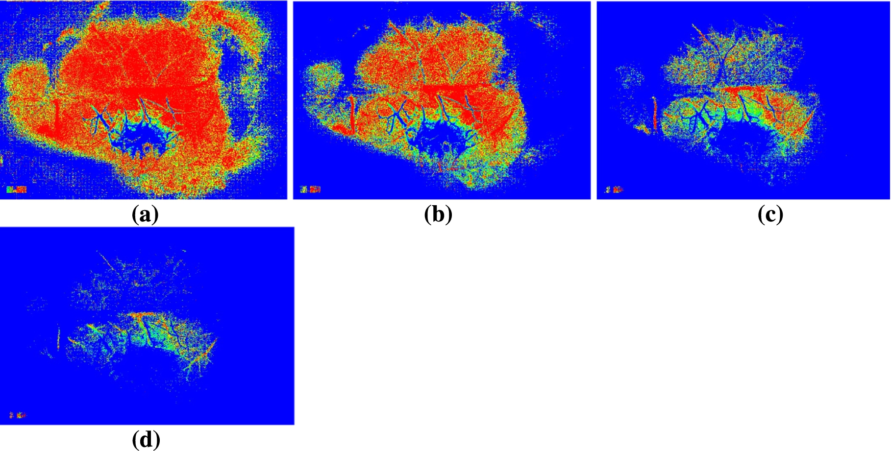 MHI images computed with different threshold values and with a buffer size of 8. The threshold value is equal to (a) 6; (b) 14; (c) 24; (d) 34.
