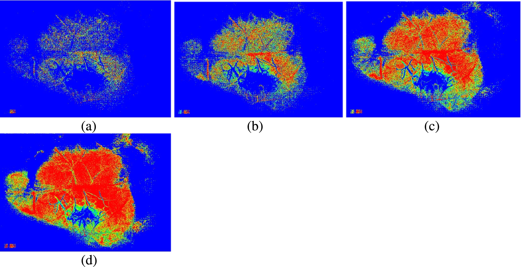 MHI images generated with different buffer sizes with a threshold value of 14. The buffer size is equal to (a) 4; (b) 6; (c) 8; (d) 10.