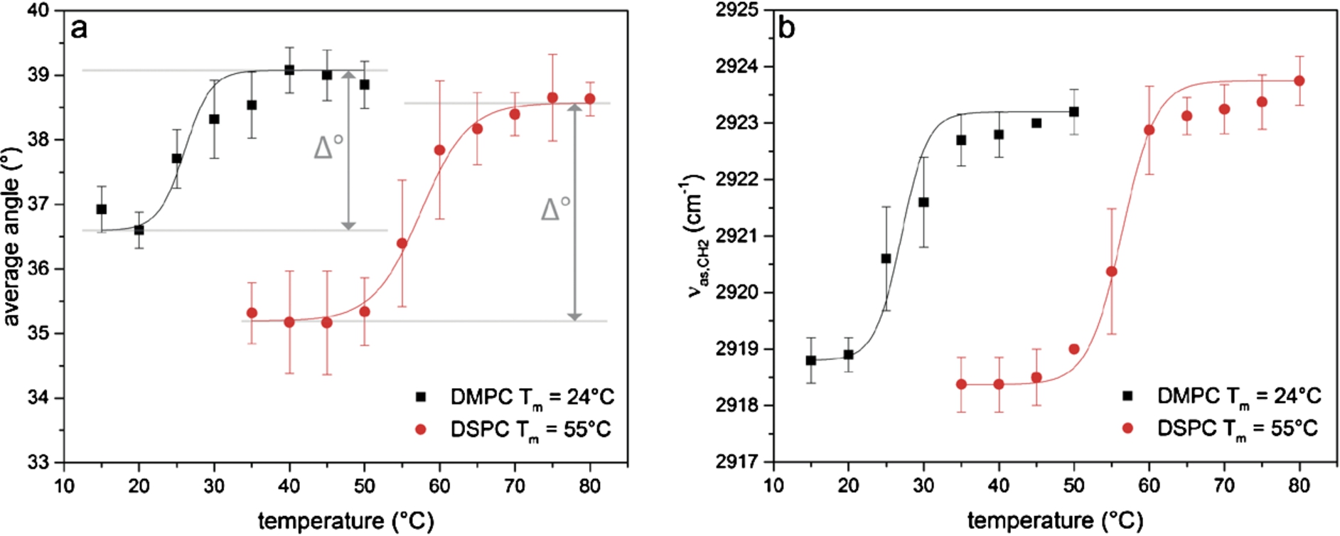 Changes upon lipid phase transition of DMPC and DSPC. Investigation of (a) the orientation of the lipid alkyl chain and (b) the frequency position of the band corresponding to the asymmetric stretching vibration of the CH2-groups (νas,CH2) in the lipid alkyl chain for DMPC (black squares) and DSPC (red circles) respectively. The data were fitted to determine the phase transition temperature and the difference in the average angle for both phases (Δ°).