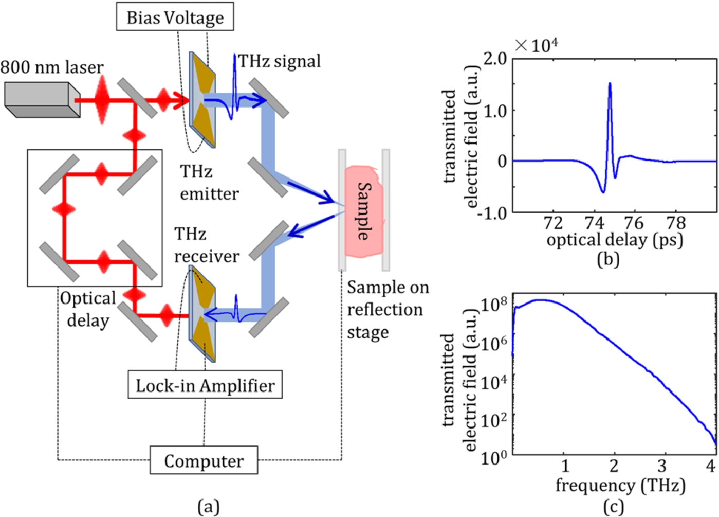 (a) Terahertz imaging system diagram for the reflection mode of fresh tumors. (b) Incident time domain THz pulse, and (c) frequency domain signal following Fourier transform [21].