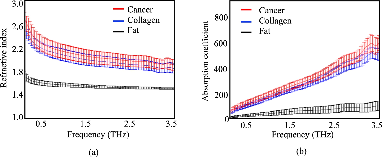 The mean spectroscopy data for all fresh human cancer and healthy breast tissues. (a) The transmission refractive indices for cancer, collagen, and fat. (b) The transmission absorption coefficient for cancer, collagen, and fat. The transmission spectroscopic data in (a) and (b) is average over 10 individual points from each tissue type [4].