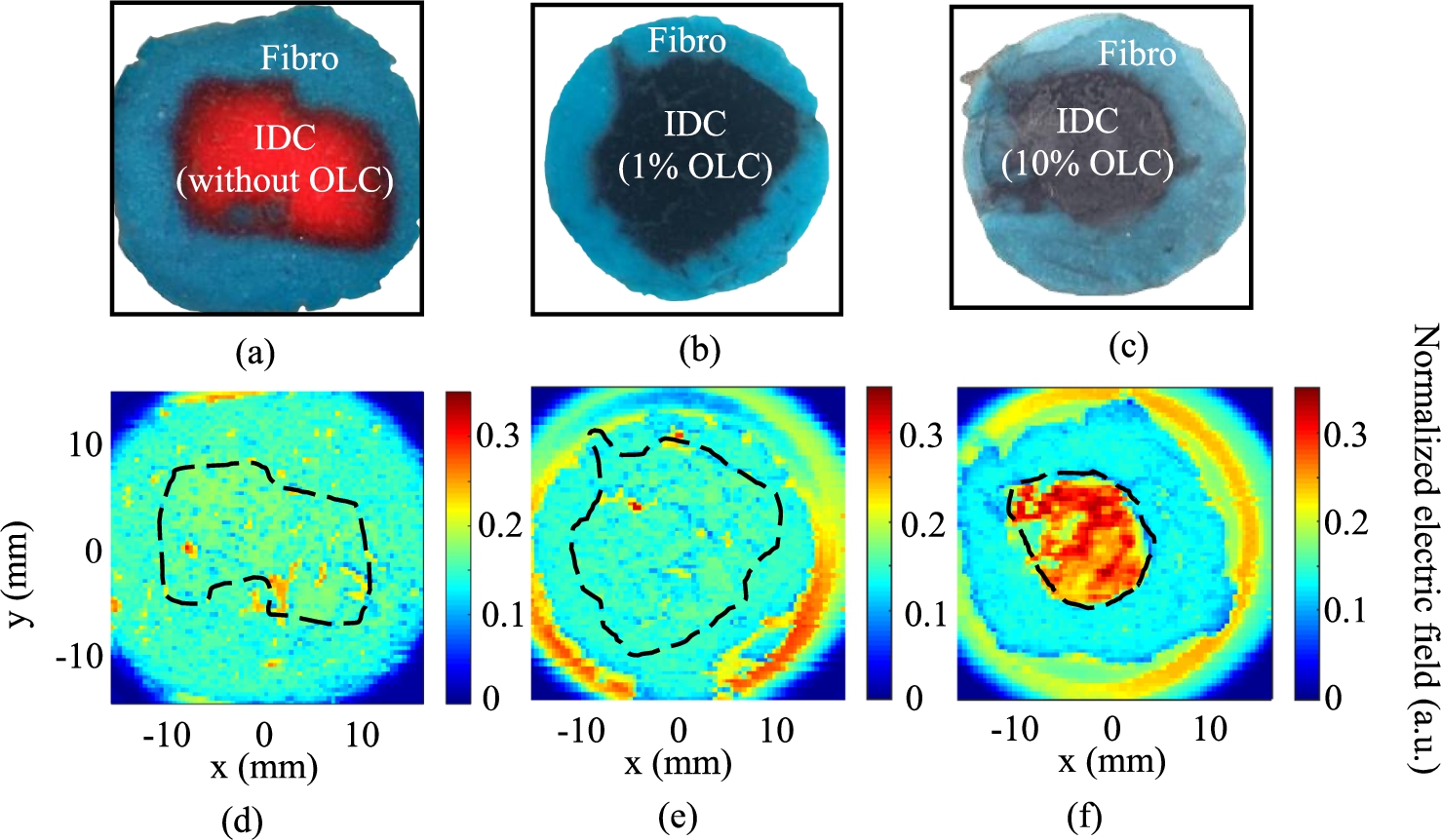 THz reflection imaging of combined phantoms shown in photographs for (a) photo of IDC phantom with no onion-like carbon (OLC), (b) photo of IDC phantom with 1% of 100 nm OLC, and (c) photo of IDC phantom with 10% of 100 nm OLC. THz images in (d)–(f) show the resulting THz reflection images for (d) no OLC in IDC, (e) 1% OLC in IDC, and (f) 10% OLC in IDC [5].
