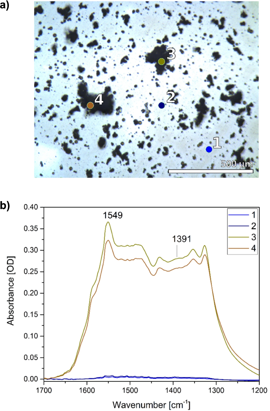 Chemical imaging of the ZnO thin film with FTIR microscopy. a) Visible light image of a ZnO thin film and selected areas (1–4). b) Corresponding infrared spectra reveal the heterogeneity of the ZnO film with low particle density (1, 2) and areas containing particle-aggregates (3, 4).