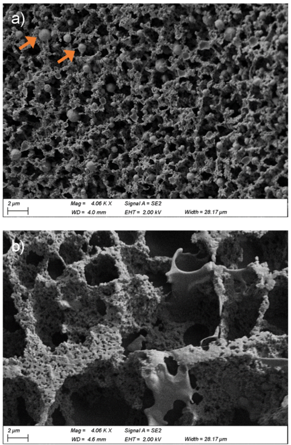 Cryo-SEM micrographs of Greek style full fat (a) and non-fat (b) yoghurts. Orange arrows indicate individual fat globules. Images were taken at approximately 4000× magnification with scale bars 2 μm in length. The colour version is available online.