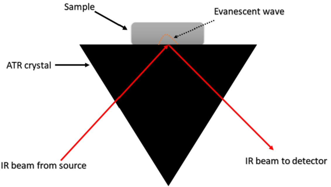 Illustration of the operation of the ATR device in spectral acquisition. An evanescent wave is generated by the total reflection of the incident radiation. This evanescent wave can penetrate through a few micrometres in the sample, which absorbs part of the radiation. This absorption can be detected by the instrument, generating the spectrum. Inspired by reference [35].