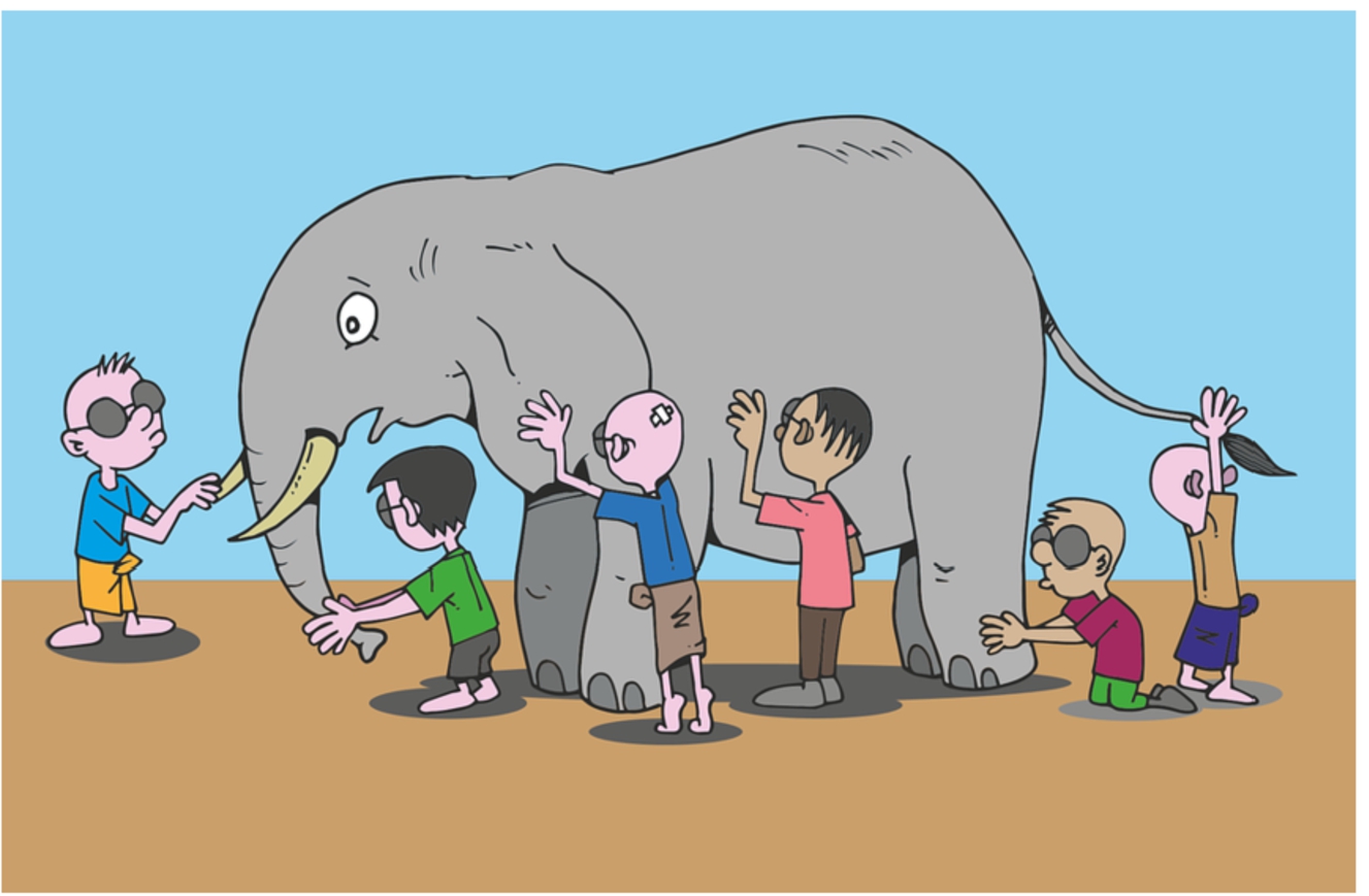 Five blind men examining an elephant and each providing a different interpretation, based on which part of the animal he touched. This is the problem in much of current scientific research where traditional barriers prevent interaction between different disciplines and techniques leading to an incomplete and partial picture of the system or problem.