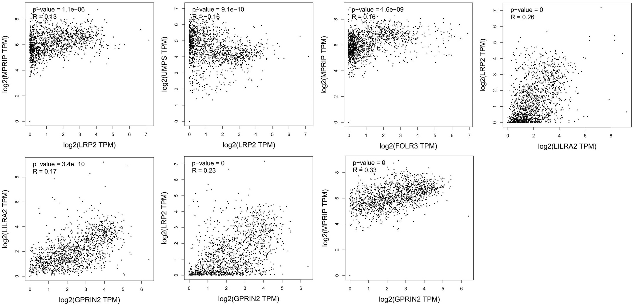 Correlation analysis of potential key genes in NSLCL. TCGA and/or GTEx expression data show significant correlations between LRP2, FOLR3, LILRA2, and GPRIN2.