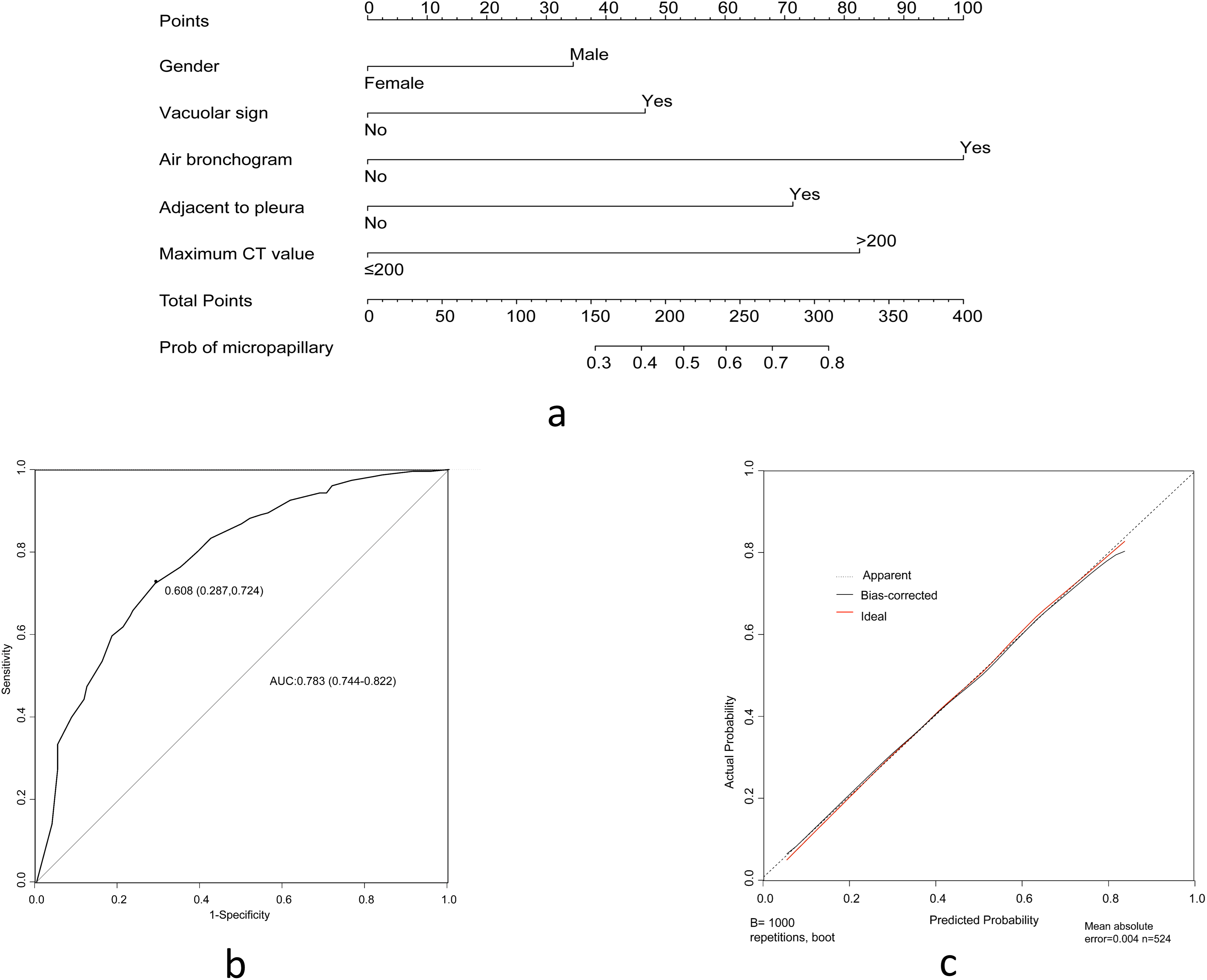 The construction and validation of a predictive nomogram based on clinical and radiological features in the training cohort. (a) The nomogram for the prediction of MPC among lung adenocarcinoma presenting as mGGO nodules. Five categorical variables from the multivariate logistic analysis were included in the model and had different contributions to the probability of MPC among mGGO nodules; (b) A ROC curve for the discriminative validation of the nomogram in the training cohort. The AUC value of the ROC curve was 0.783 (95%[CI] 0.744–0.822); (c) A calibration curve for the estimation of agreement between the predicted mGGO nodules with MPC and those of the nomogram.