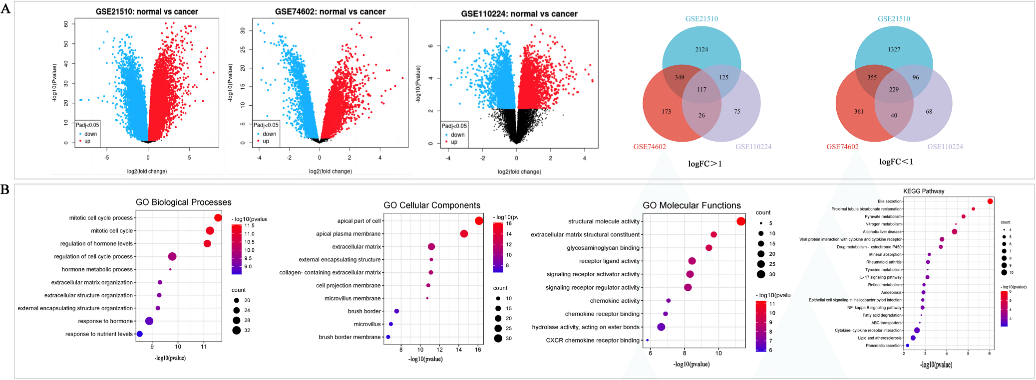 Differentially expressed of DEGs were selected from three GEO datasets. A, The DEGs with P< 0.05 and absolute log2FC > 1 were filter from three GES data sets using GEO2R online tools, and Venn analysis was used to select overlapping up-regulated and down-regulated DEGs. B, GO and KEGG pathway enrichment analysis were used to analyzed the biological process, cellular component, molecular function and signal pathways of DEGs.