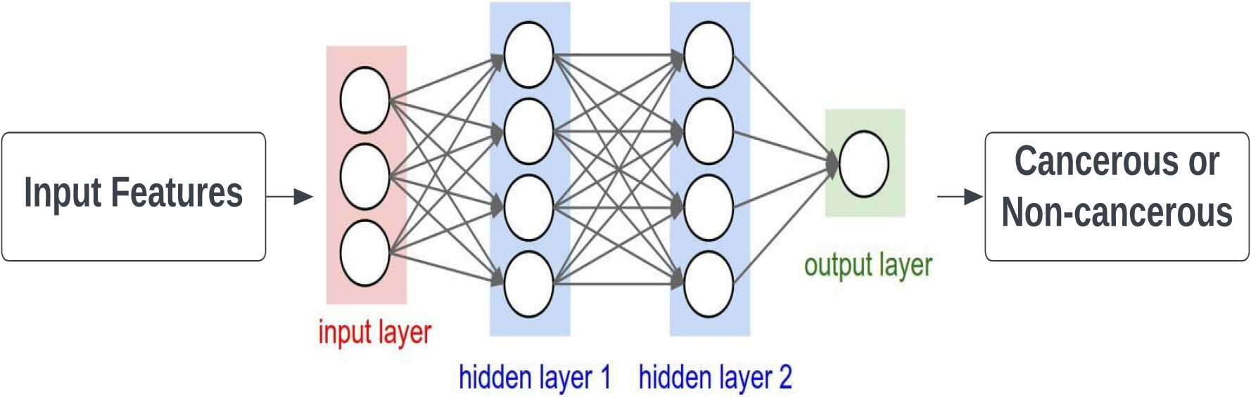 Illustration of artificial neural network (ANN).