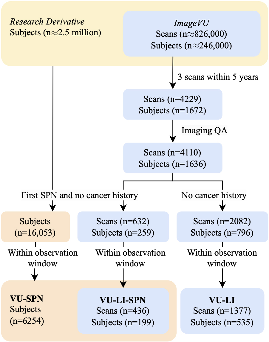 Archives linking EHRs to imaging allowed for the selection of subjects via ICD rules. Scans that were low quality and data that did not fall within observation windows were excluded. VU-SPN: subjects with no cancer history prior to an SPN code. VU-LI-SPN: subjects in VU-SPN with imaging. VU-LI-Incidence: subjects with imaging.