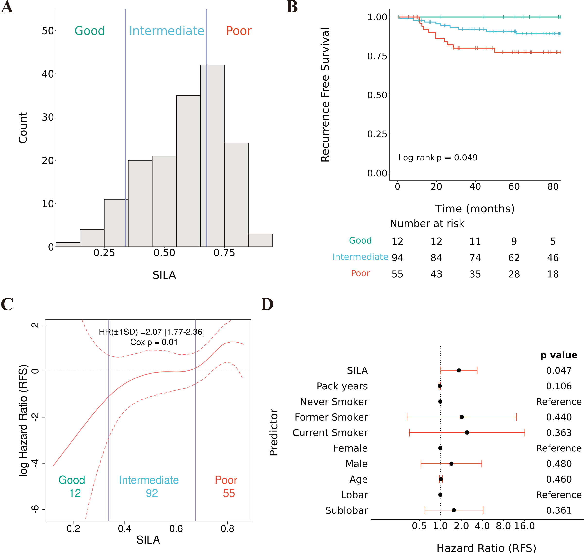 The SILA is associated with recurrence-free survival in a cohort of resected stage I LUAD. (A) Distribution of the SILA by prognostic subgroup using previously established cutoffs (Varghese et al., 2019). (B) Kaplan Meier curve of the SILA prognostic subgroups with 7-year RFS. (C) Univariate cox proportional hazard model of the SILA predicting 7-year RFS. (D) Multivariate cox proportional hazard model of the SILA predicting 7-year RFS, with pack years, smoking status, gender, age, and surgical procedure as covariates.