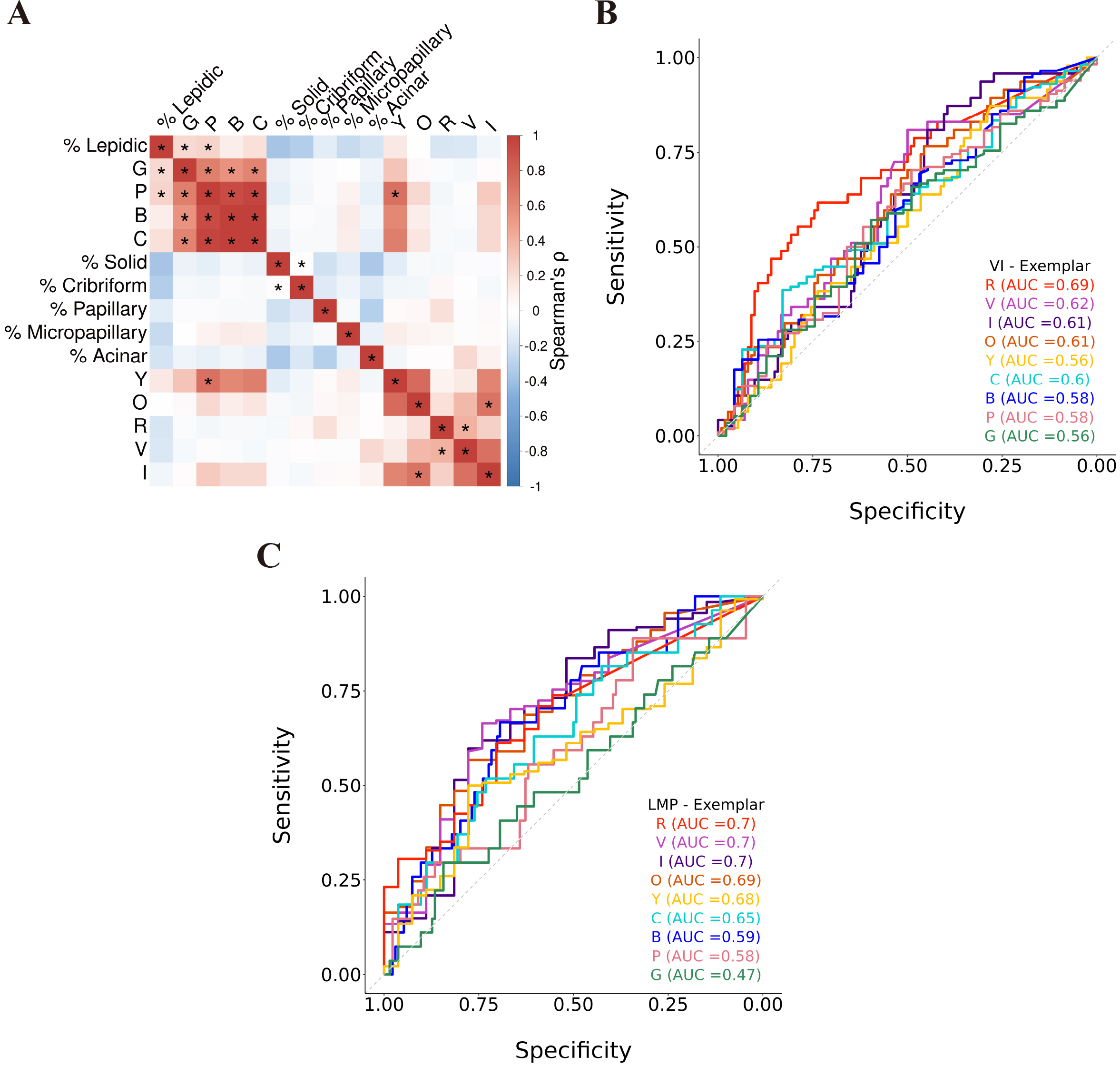 The CANARY red exemplar is associated with VI at resection. (A) Correlation matrix of CANARY exemplars with percentages of different LUAD histologic growth patterns (*indicates FDR < 0.05). (B) ROC curves of individual CANARY exemplars predicting VI cases. (C) ROC curves of individual CANARY exemplars predicting LMP cases.