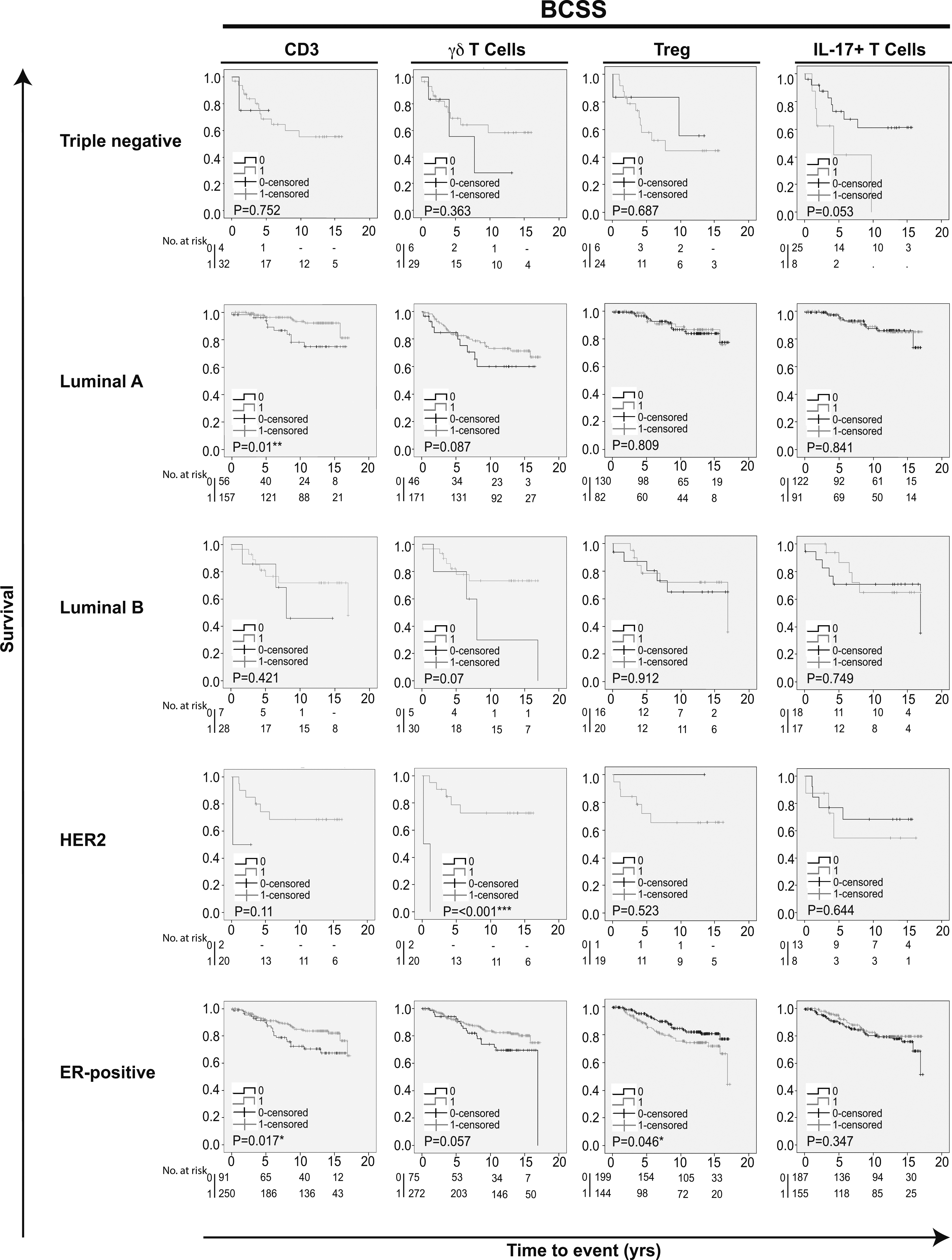 Kaplan-Meier estimates of breast cancer specific survival according to different infiltrating T cell subpopulations in breast cancer. Impact of pan-T cell CD3, γ⁢δ T cells, Tregs and IL-17+ T cells on BCSS in different breast cancer subtypes. Log-rank P value < 0.05 was considered significant.