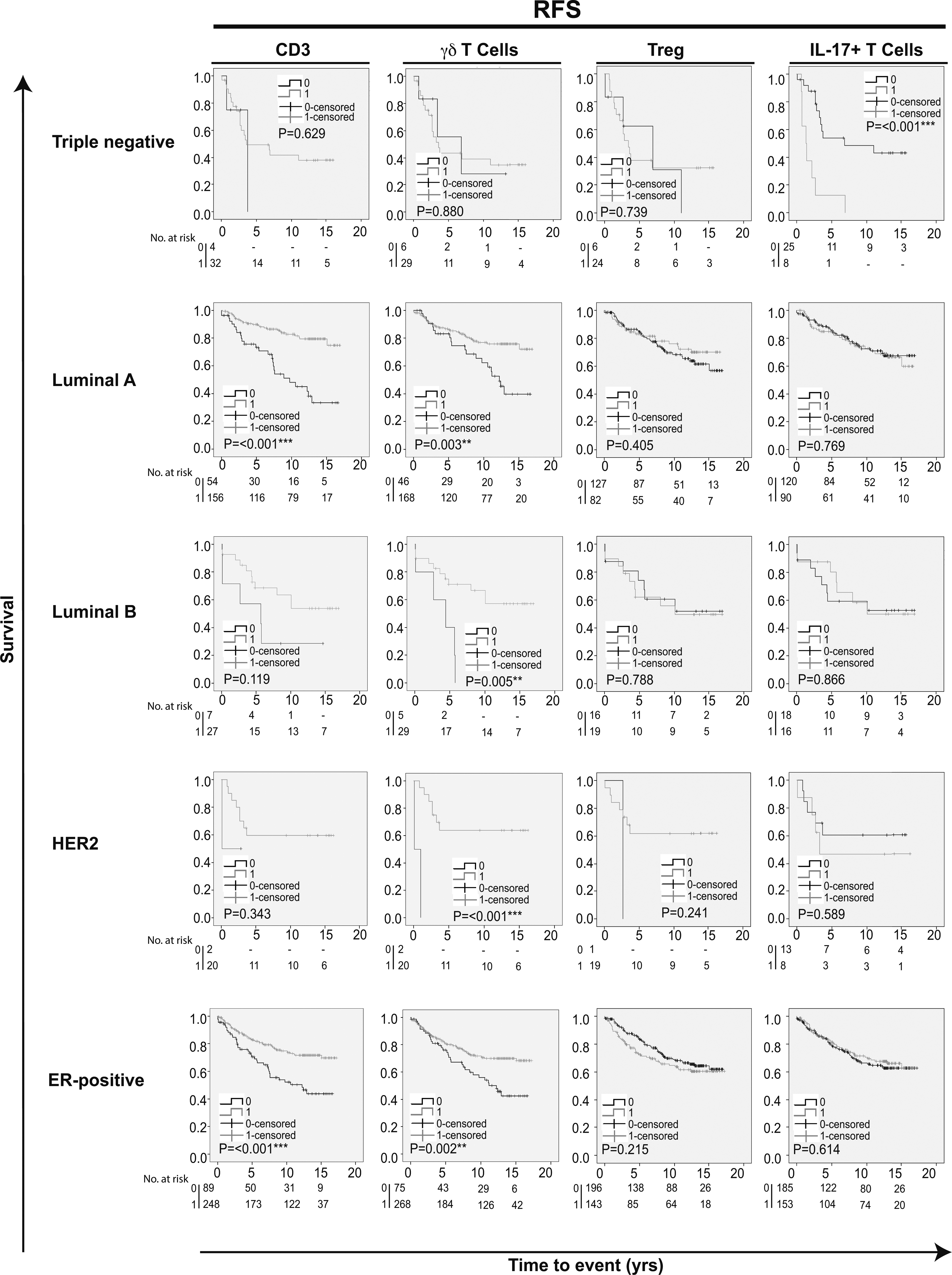 Kaplan-Meier estimates of recurrence free survival according to different infiltrating T cell subpopulations in breast cancer. Impact of pan-T cell CD3, γ⁢δ T cells, Tregs and IL-17+ T cells on RFS in different breast cancer subtypes. Log-rank Pvalue < 0.05 was considered significant.