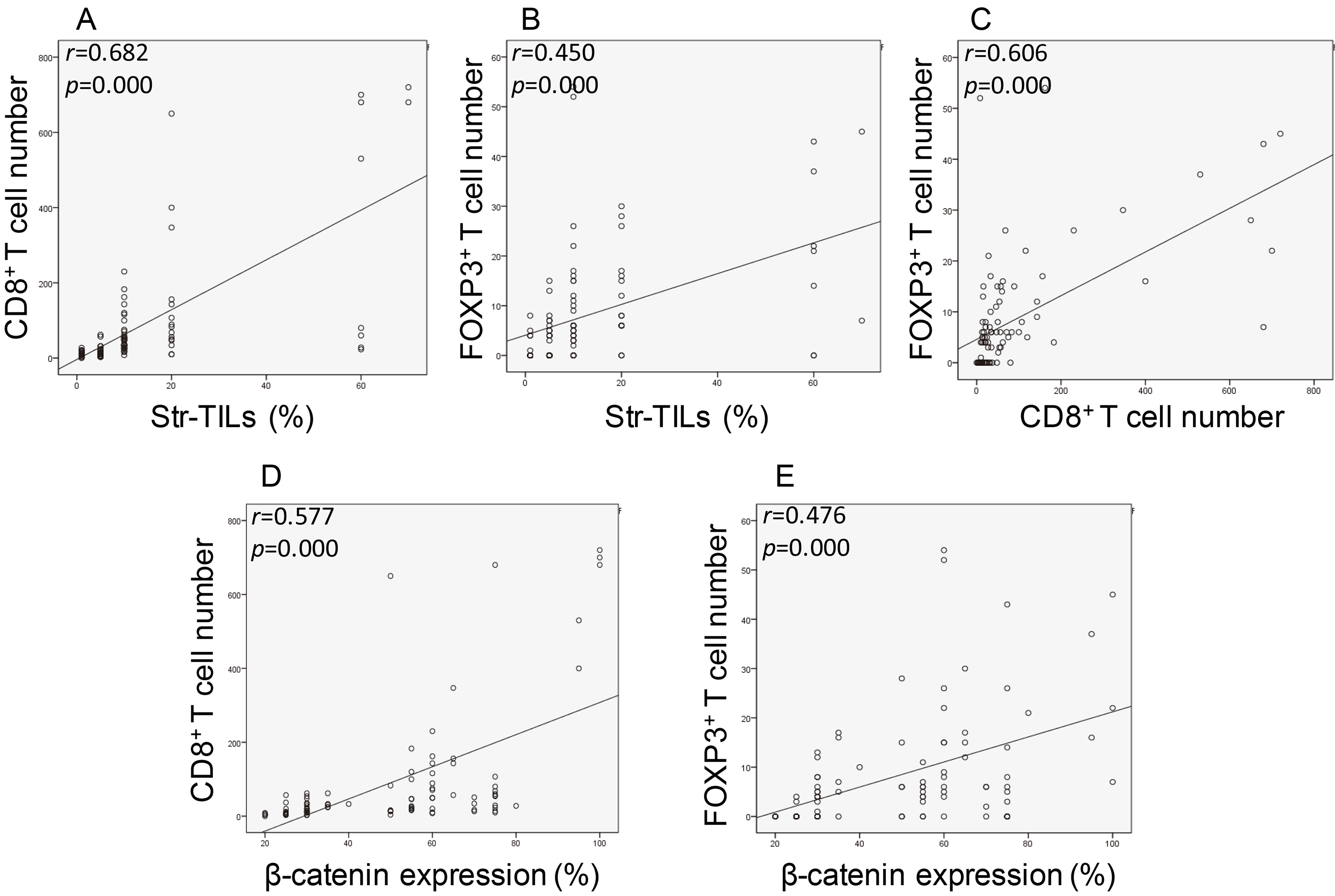Association of TIL subsets infiltration with β-catenin expression in breast cancer. Correlation of stroma TILs with CD8+ T cells (A) or FOXP3+ T cell (B) infiltration; correlation between CD8+ T cells and FOXP3+ T cell infiltration (C) and the correlation of β-catenin expression with CD8+ T cells (D) or FOXP3+ T cell (E) were analyzed by Pearson Correlation test. 