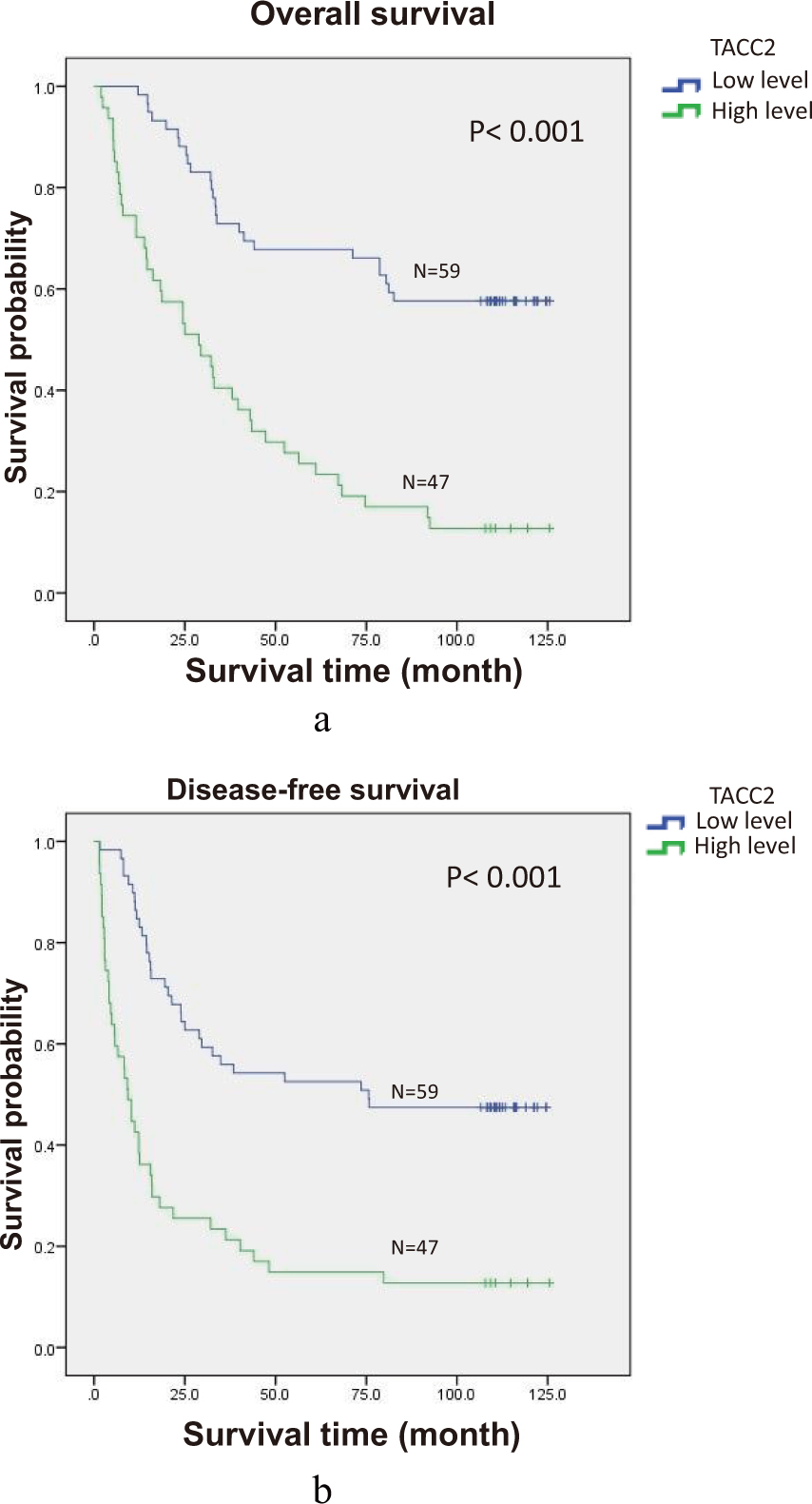 Survival curves of 106 patients according to TACC2 expression (log-rank test). (a) Probability of OS for all HCC patients: Low TACC2 expression, N = 59; high TACC2 expression, N = 47. (b) Probability of DFS for all HCC patients: Low TACC2 expression, N = 59; high TACC2 expression, N = 47.