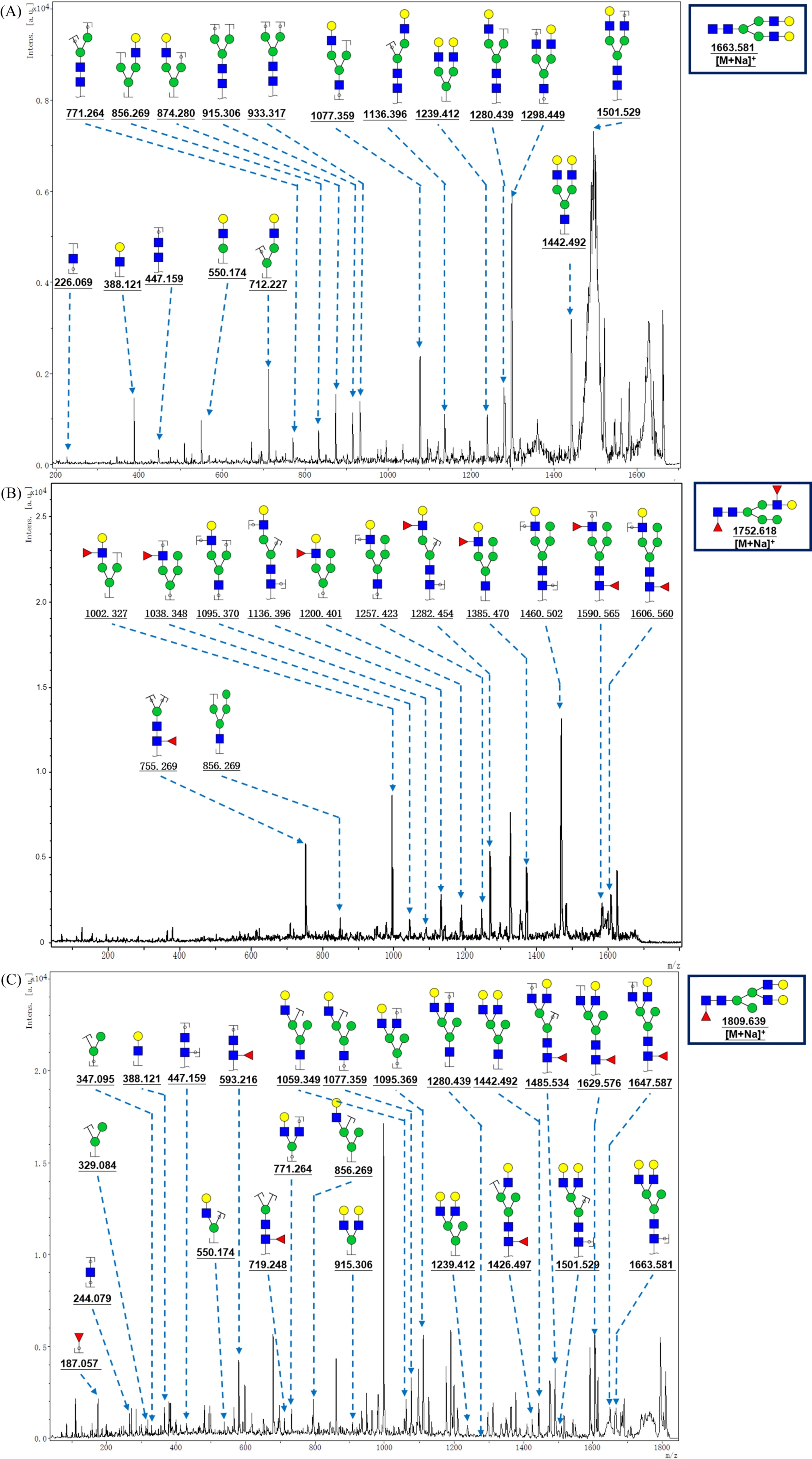 MALDI-TOF/TOF MS/MS analyzing theN-glycan precursor ion from MS spectra. The three N-glycan peaks (A) m/z 1663.581, (B) 1752.618, and (C) 1809.639 subjected to MS/MS analysis.