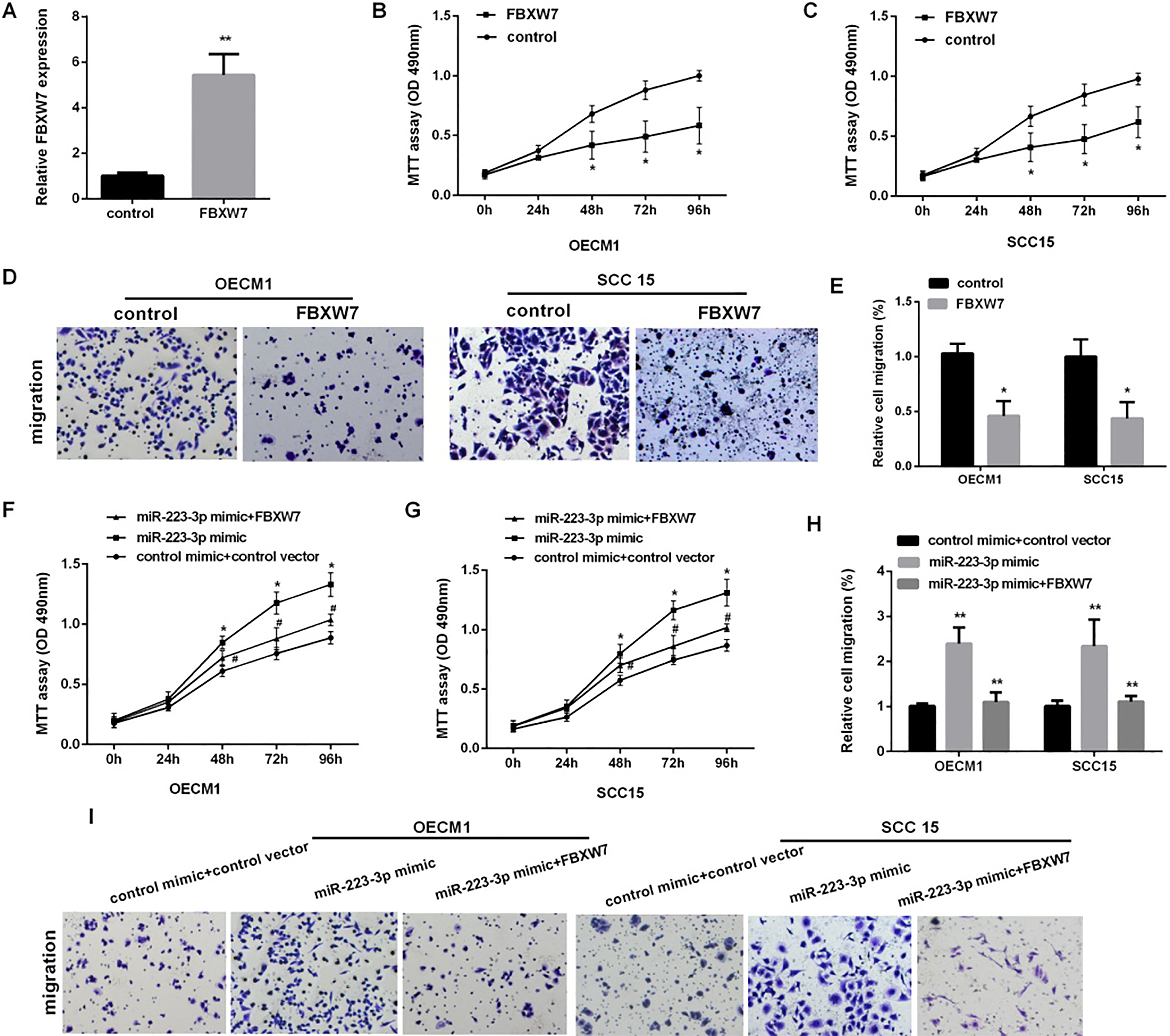 FBXW7 reversed miR-223-mediated OSCC cells proliferation and migration. (A) Detection of the relative FBXW7 mRNA expression in OECM1 cells after overexpression of FBXW7 for 48 h (P*< 0.05, P**< 0.01). (B and C) MTT assays was performed to detect the cells viabilities in OECM1 and SCC15 cell lines after re-expression of FBXW7 for 0, 24, 48, 72, 96 h (P*< 0.05). (D and E) Transwell assay detected the cell migration percents after overexpression of FBXW7 (P*< 0.05). (F and G) Detection of the cell viability in OCEM1 and SCC15 cell lines by MTT assay after transfected with miR-223 mimic or both miR-223 mimic and FBXW7 vector (P*< 0.05, P#< 0.05). (H and I) Transwell migration assay detected the relative cell migration percent in OCEM1 and SCC15 cell lines after transfected with miR-223 or both miR-223 mimic and FBXW7 vector (P**< 0.01). These experiments were repeated three times.