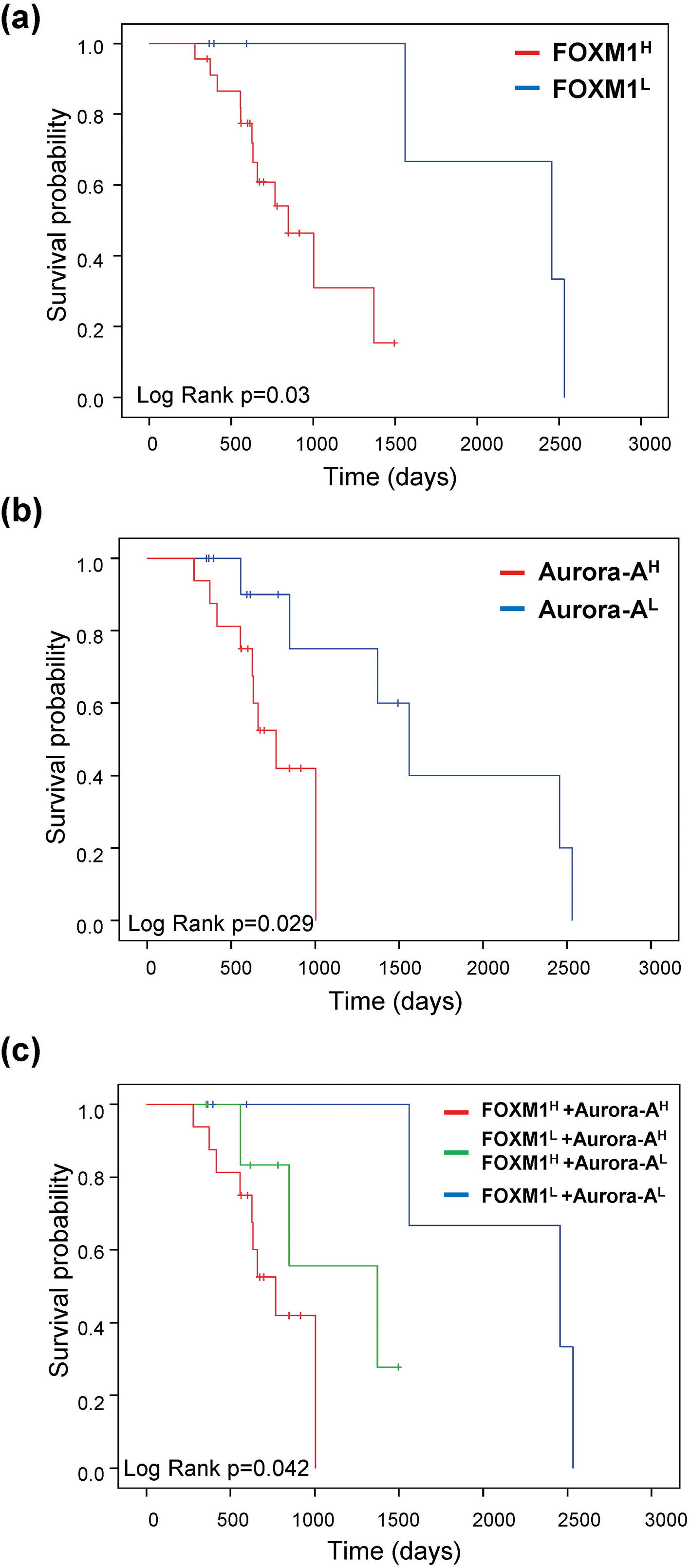 FOXM1 and Aurora-A expression predict the prognosis of sorafenib-treated patients in HCC. KaplanMeier curves of overall survival probability were estimated with different FOXM1 (a), Aurora-A (b), and FOXM1/Aurora-A (c) expression status in sorafenib-treated patients obtained from the TCGA dataset (n= 29).
