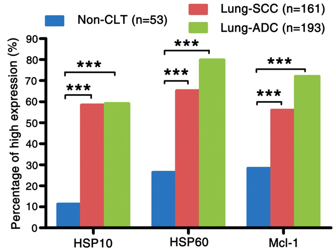 The comparison of expression of HSP10, HSP60 and Mcl-1 in lung SCC and lung ADC compared to the Non-CLT. The expression of HSP10, HSP60 and Mcl-1 in lung SCC and lung ADC was significantly higher than those in Non-CLT (all P< 0.001).