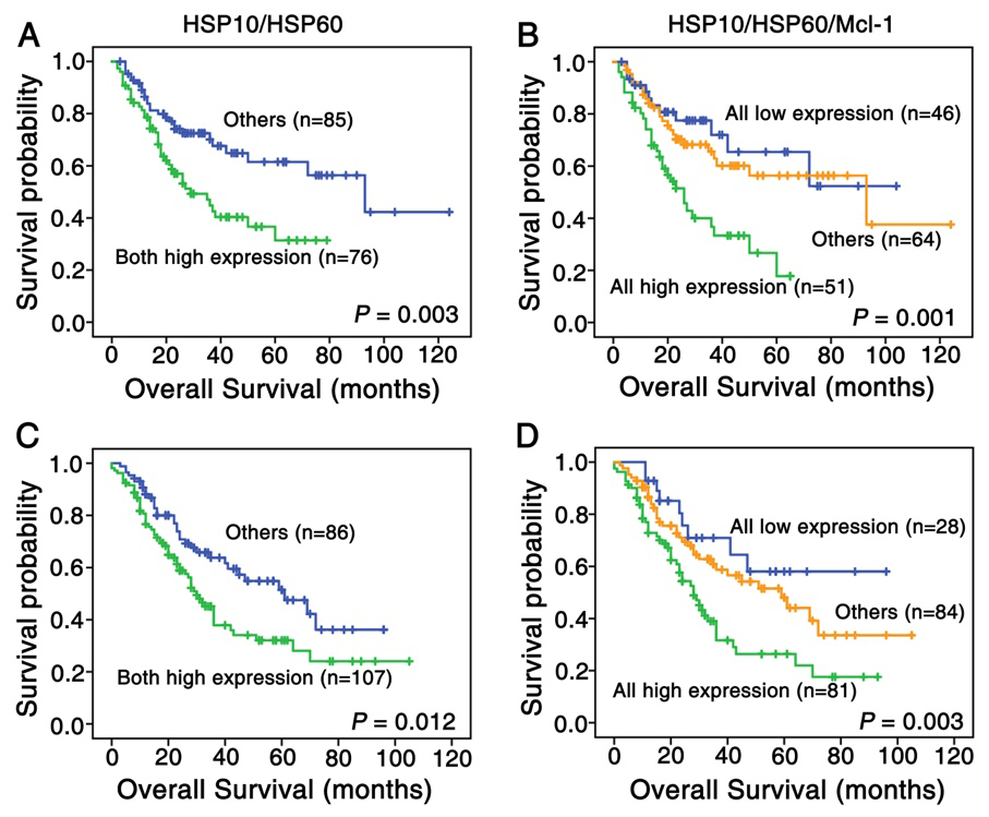 Kaplan-Meier curves for overall survival of lung SCC and ADC patients with combined expression of HSP10/HSP60 and HSP10/HSP60/Mcl-1. (A) Kaplan-Meier curves showed lung SCC patients with combined high expression of HSP60 and HSP10 had worse overall survival rates than these with others (P= 0.003, two sided). (B) Lung SCC patients with high HSP10, HSP60 and Mcl-1 expression owned poor prognosis compared with that with other expression patterns of these three proteins (P= 0.001, two sided). (C) Lung ADC patients with common high expression of HSP60 and HSP10 proteins showed worse overall survival rates compared with others (P= 0.012, two sided). (D) Patients with combined high expression of HSP10, HSP60 and Mcl-1 all have higher survival rates than others (P= 0.003, two sided).