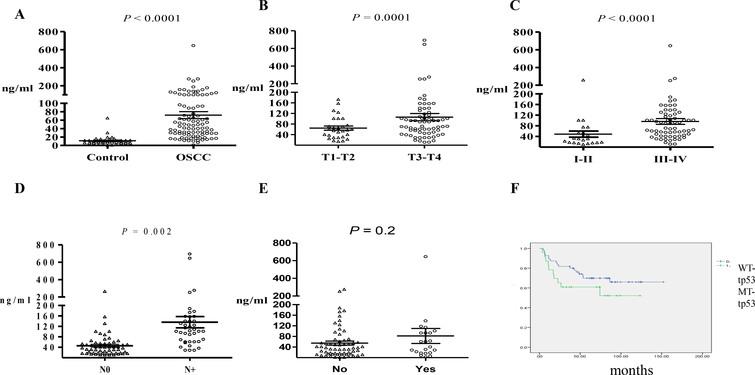Comparison of cfDNA plasma levels in (A) healthy controls versus patients with OSCC preoperatively; (B) patients with different tumor sizes preoperatively; (C) patients without metastasis in the neck lymph nodes; (D) patients with early- and late-stage carcinoma; and (E) patients with different statuses of lymphovascular invasion. (F) Kaplan-Meier analysis of patients with MT-TP53 and WT-TP53. Scatter plots displaying mean ± standard deviation were calculated by the Mann-Whitney test.