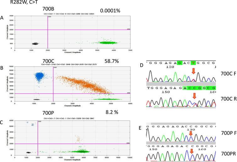 ddRT-PCR results of patient 700. The two-dimensional plots show the amount of MT-R282W droplets in the analysis. (A) Blood sample, (B) FFPE sample, and (C) cfDNA sample. (D) Sanger sequencing indicated a C-to-T point mutation in the FFPE sample, but it was not detectable in the cfDNA sample.