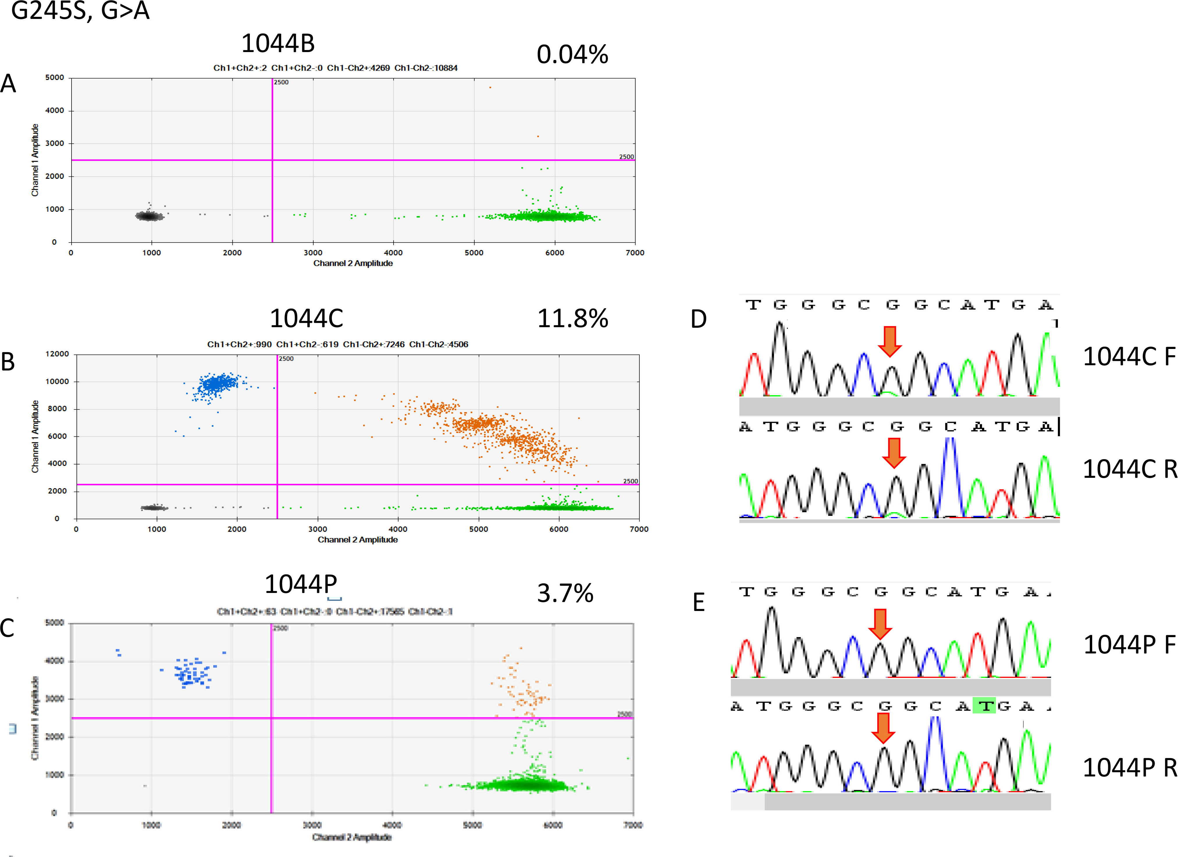 ddRT-PCR results of patient 1044. The two-dimensional plots show the amount of MT-G245S droplets in the analysis. (A) Blood sample, (B) FFPE sample, and (C) cfDNA sample; (D) Sanger sequencing indicated a G-to-A point mutation in the FFPE sample, but it was not detectable in the cfDNA sample.