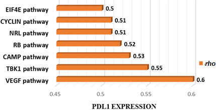 Cancer-associated pathways whose activity is associated with PDL1 expression in TCGA CAOD. Seven cancer-associated pathways whose activity is positively associated with PDL1 expression in TCGA-COAD cohort (Spearman correlation coefficient (ρ) ⩾ 0.3).