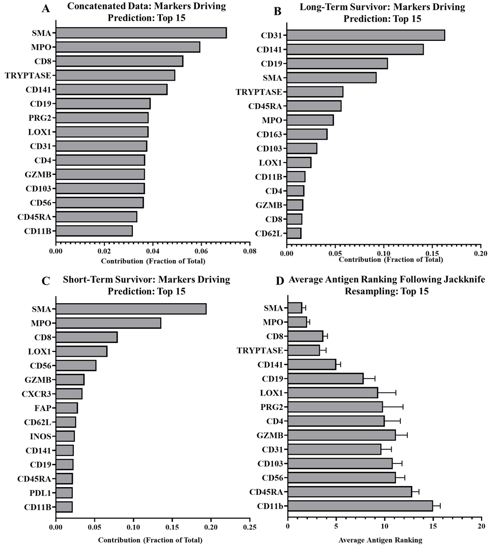 Random forest outputs showing contributions of prediction driving markers in all, and those unique to representative long- and short-term survivor PDACs. A) Top 15 tumor-stroma predictors in all PDACs, excluding known cancer markers. B) Top 15 tumor-stroma predictors for long-term survivor (RAP 116), excluding cancer markers. C) Top 15 tumor-stroma predictors in short-term survivor (RAP 80), excluding cancer markers. D) Average marker rankings following jackknife resampling for top 15 markers. 