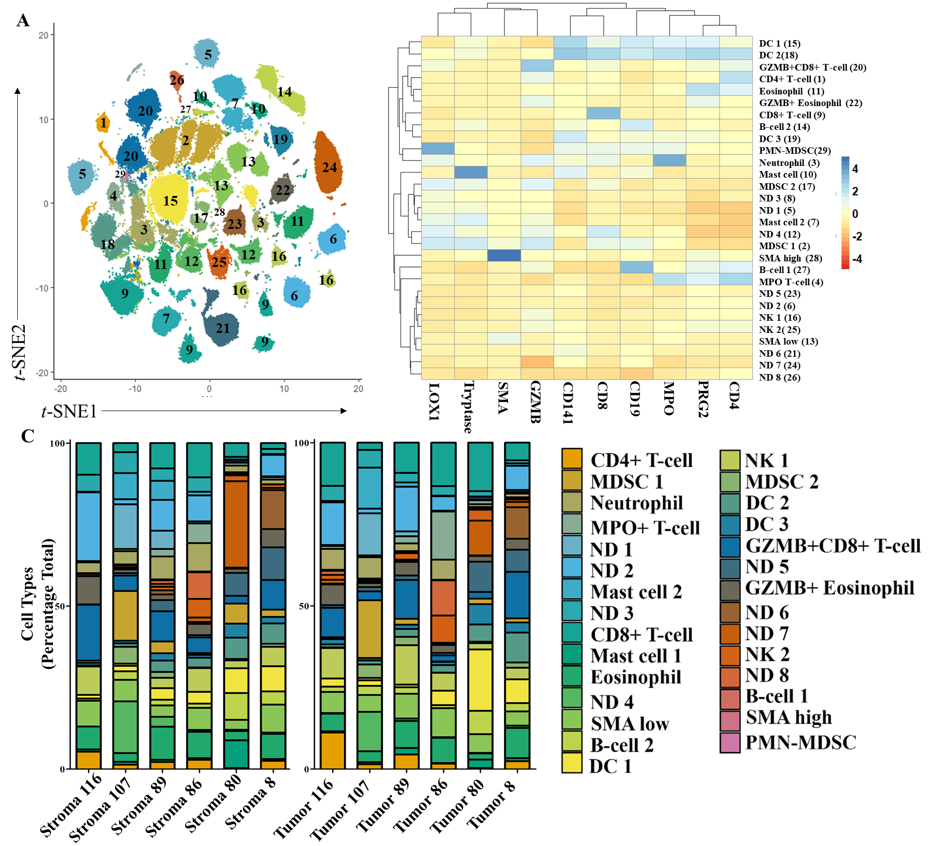 Distribution of tumor-associated immune cells identified in PDAC TMEs using top ten tumor-predicting markers and unsupervised clustering. A) t-SNE plot of clustered cell groups (numbered) using RFA-identified antigens. B) Heatmap of the average cellular antigen intensity in groupings (see 4A) identified via Louvain clustering. Initial groupings shown in parentheses. C) Stacked bar plot of cell types identified with Louvain clustering of tumor and stroma tissues. Cell group colors matched in A and C. 