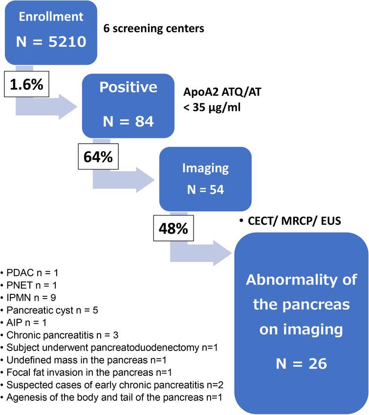 Flow diagram of the experimental screening of pancreatic cancer using the apoA2-i blood test in the Kobe Cancer Screening Network [22]. CECT, contrast-enhanced computed tomography; MRCP, magnetic resonance cholangiopancreatography; EUS, endoscopic ultrasonography; PDAC, pancreatic adenocarcinoma cancer; IPMN, intraductal papillary mucinous neoplasms; CP, chronic pancreatitis; NET, pancreatic neuroendocrine tumors; AIP, autoimmune pancreatitis.
