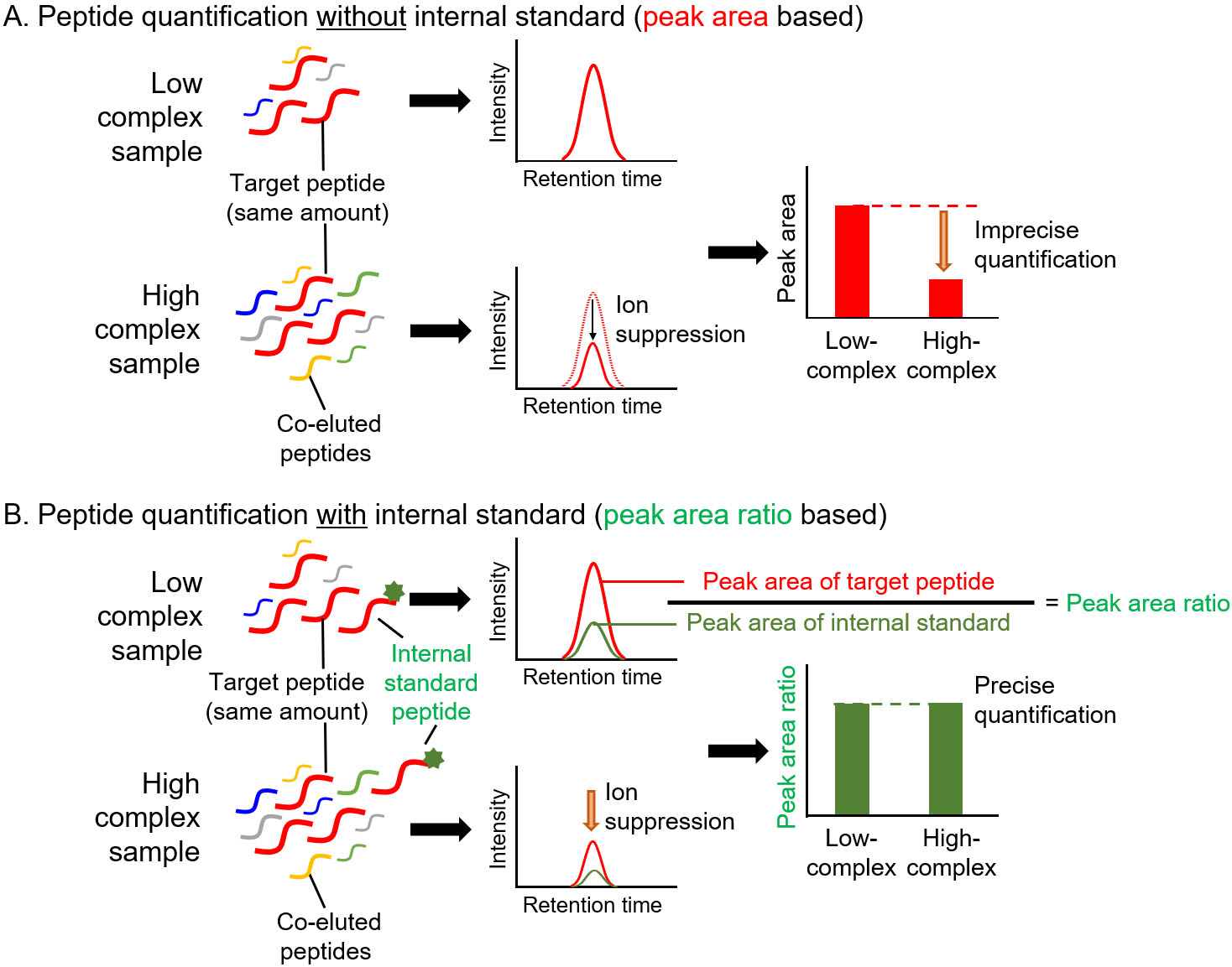 Precise quantification of peptides with internal standard in targeted proteomics. A. Peptide quantification without internal standard. Low- and high-complex samples contain the same amount of target peptide. Due to the ion suppression effect, the amount of target peptide in high-complex sample is underestimated when the amount was determined based on the peak area. B. Peptide quantification using internal standard. In high-complex samples, ion suppression occurs at same degree on target peptide and internal standard peptide. Therefore, the peak area ratio of target peptide to internal standard peptide in a high-complex sample is same as that in a low-complex sample.