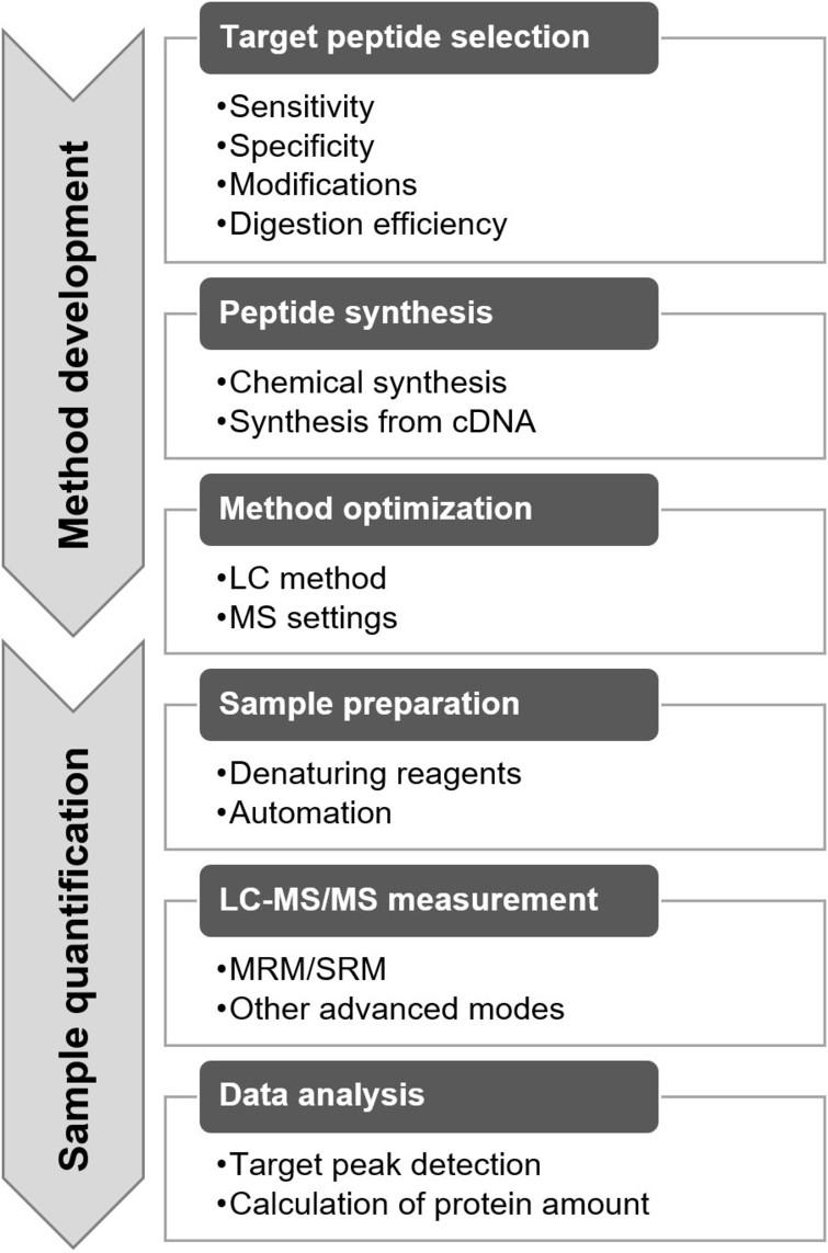 Outline of method development and quantification with targeted proteomics.