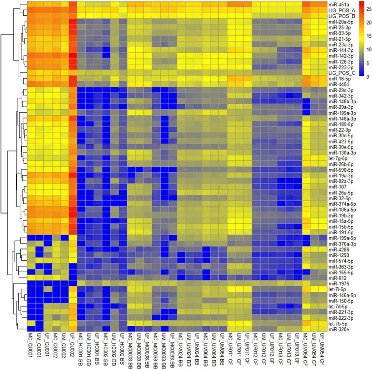 Heatmap for the 55 miRNA targets and the 3 ligation controls that had expression above zero across > 80% of samples.
