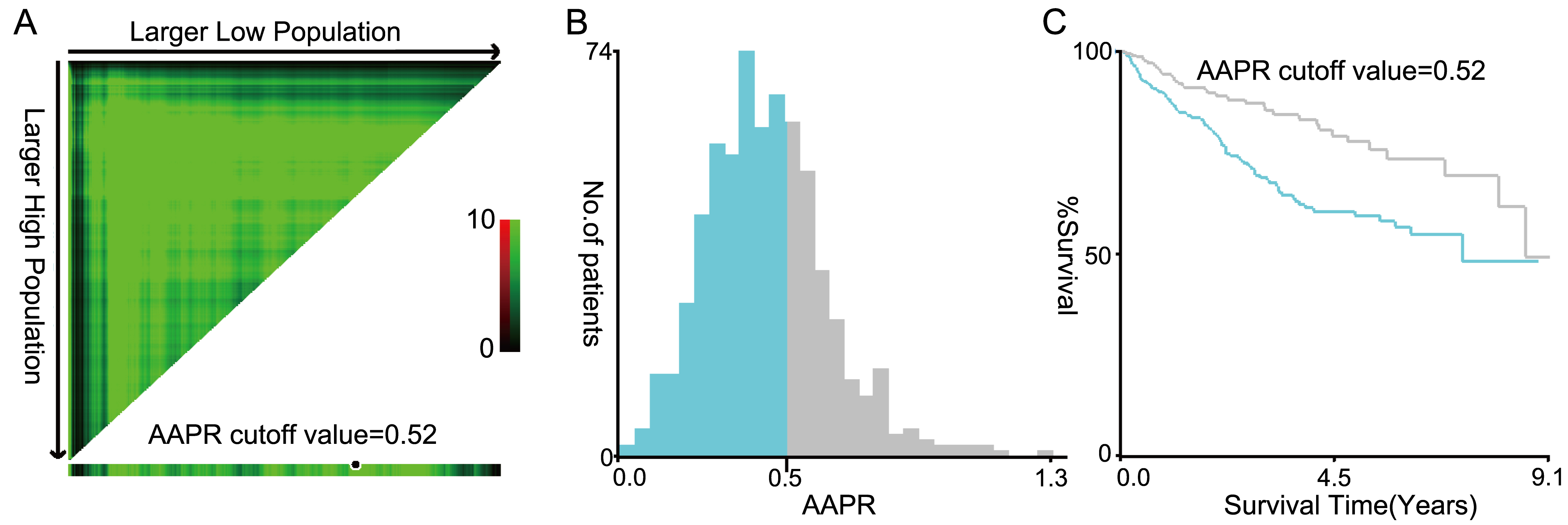 The cut-off value of AAPR obtained by using the X-tile software was 0.52 where it was shown to have the strongest prognostic ability (A–C). (AAPR: albuminalkaline phosphatase ratio).