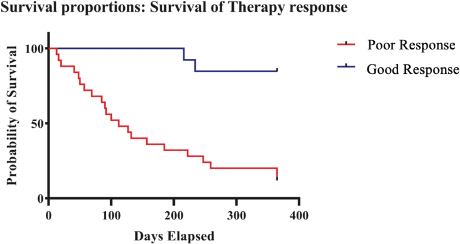 Kaplan–Meier curve of overall survival according to treatment response.
