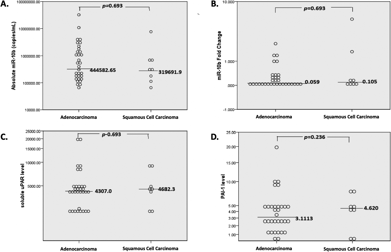 Scatter plots of association between miR-10b, SuPAR, and PA-I with histopathology characteristics. (A) Scatter plot for Absolute miR-10b showing a median of 444,582.65 in adenocarcinoma vs 319,691.9 in SCC (P= 0.693). (B) Scatter plot for miR-10b FC showing a median of 0.059 in adenocarcinoma vs 0.105 in SCC (P= 0.693). (C) Scatter plot for suPAR showing a median 4,307.0 in adenocarcinoma vs 4,682.3 in SCC (P= 0.693). (D) Scatter plot for PAI-1 showing a median of 3.1113 in adenocarcinoma vs 4.620 in SCC (P= 0.236).
