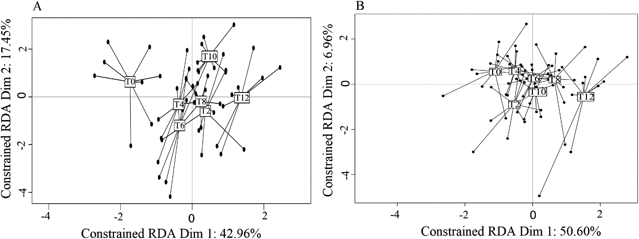 Graphical representations of the RDA results testing the impact of experimental conditions (doxycycline treatment through time, T0–T12) on VOC profiles of A) cancerous mice (Table 1, model 2) and B) non-cancerous mice (Table 1, model 1). Each dot represents a urine sample.