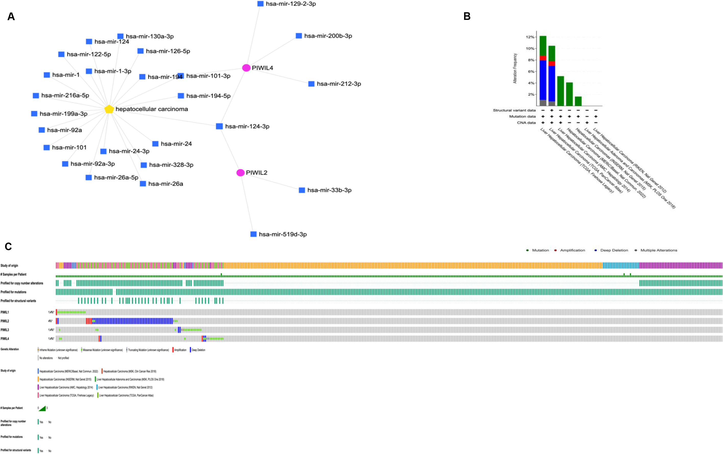 (A) miRNet prediction of PIWIL and HCC. (B) Reported cases with mutated PWIL genes in Liver cancer (C) Frequency of mutated PIWIL genes and their predicted variants’ implication for HCC through TCGA; via BioPortal for Cancer Genomics (https://www.cbioportal.org).