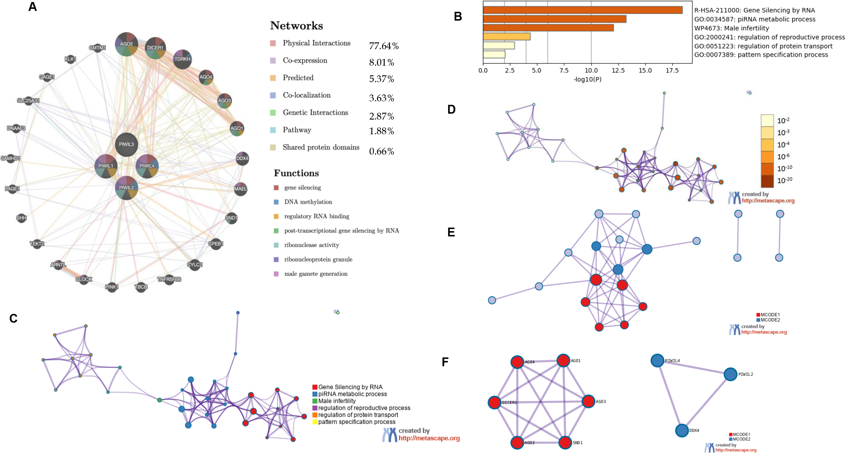 (A) Genemania generated Network for PIWIL1, PIWIL2, PIWIL3, PIWIL4 and function predictions (B) Metascape results for Enriched ontology clusters. (C) PIWIL Subset network with force-directed clustering (D) Enriched network according to statistical significance, the darker the color, the more statistically significant the node is. (E) protein-protein interactions’ network from PIWIL genes. (F) Results for MCODE algorithm to identify neighborhoods where proteins are densely connected.