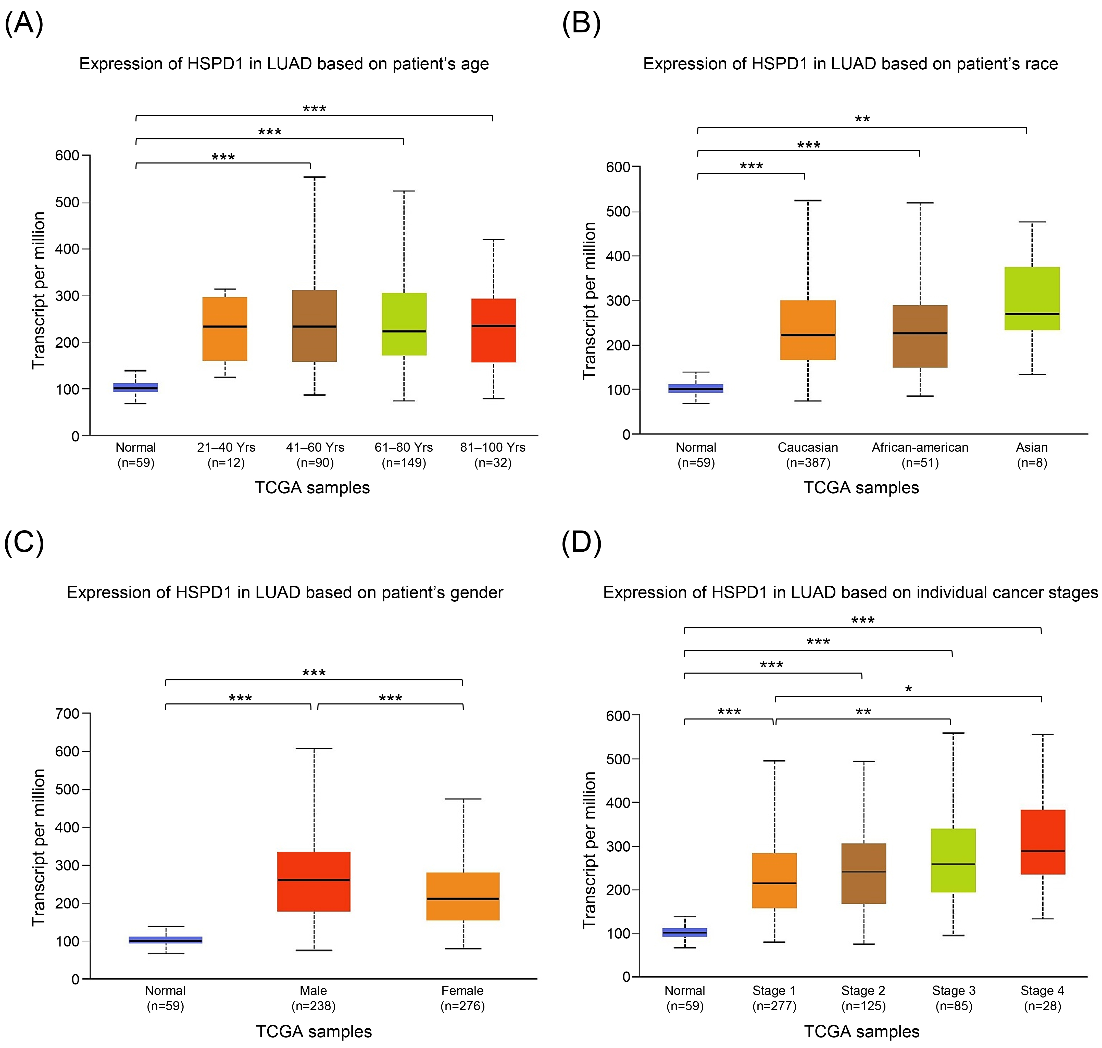 Relationship between HSPD1 expression and clinicopathological parameters in LUAD patients from TCGA dataset in UALCAN. HSPD1 expression in LUAD patients based on (A) age, (B) race, (C) gender, and (D) individual cancer stages. *p < 0.05, **p < 0.01, ***p < 0.001.