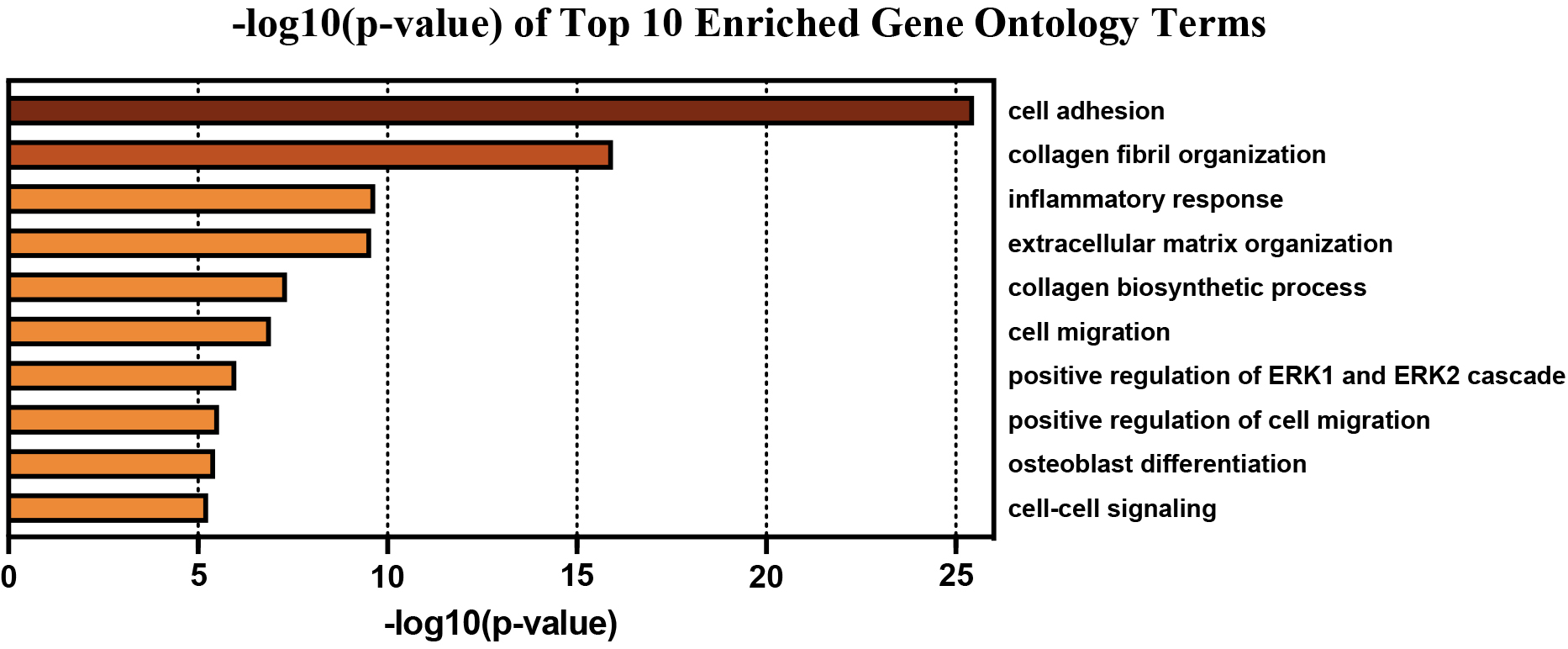 Top 10 enriched GO Terms Biological Process used to filter genes into relevant biological processes pertaining to EAC.