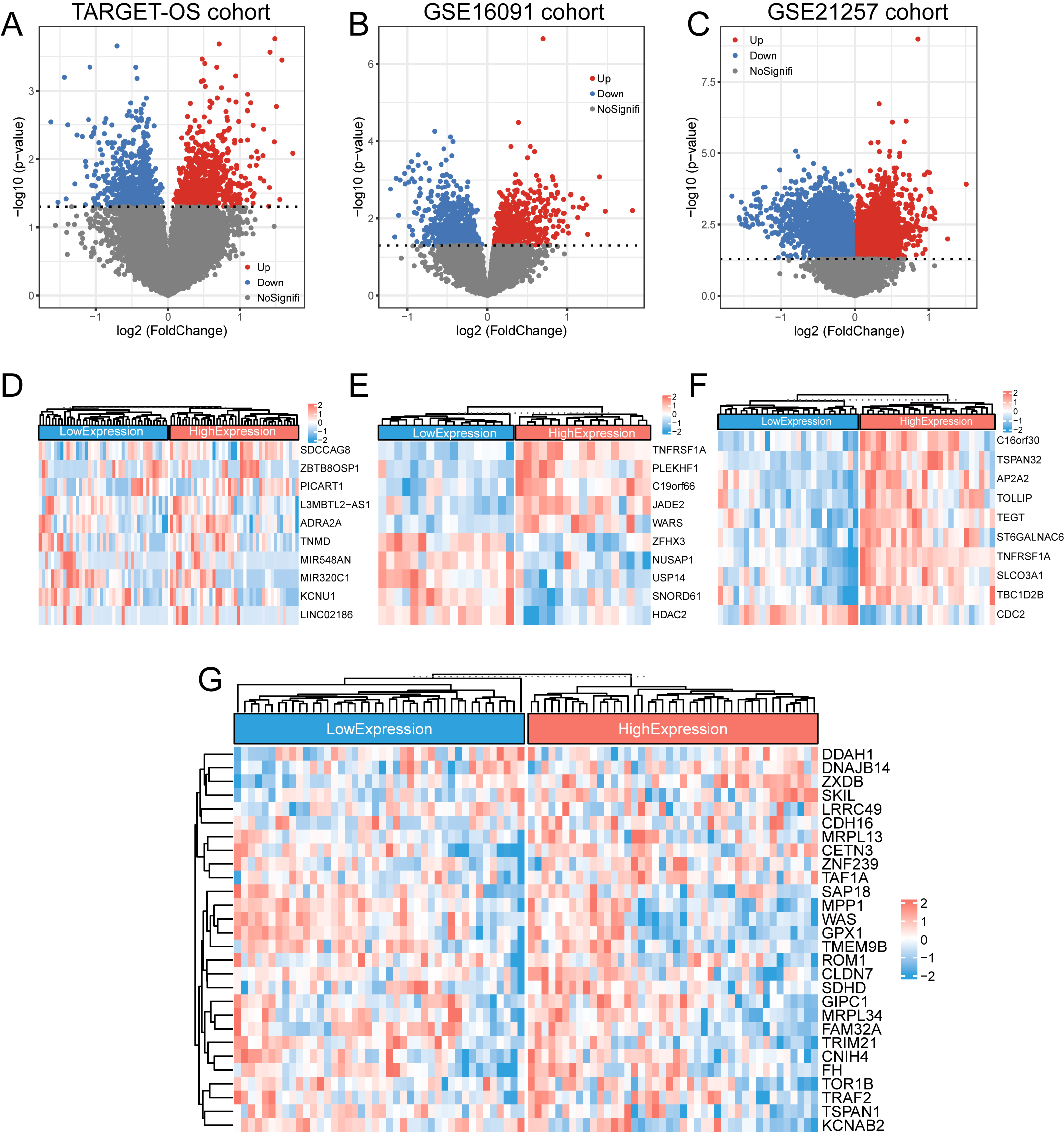 DEGs in the TNFRSF1A high- and low-expression groups. (a–c) The DEGs of the TARGET-OS cohort and GSE16091 and GSE21257 datasets were screened and plotted for volcanoes, respectively, with blue representing downregulated genes and red representing upregulated genes. (d–f) Heatmaps of the top 10 DEGs in the TARGET-OS cohort and GSE16091 and GSE21257 datasets, respectively. (g) Clustered heat map of the expression profiles for the 28 DEGs common to the three datasets.