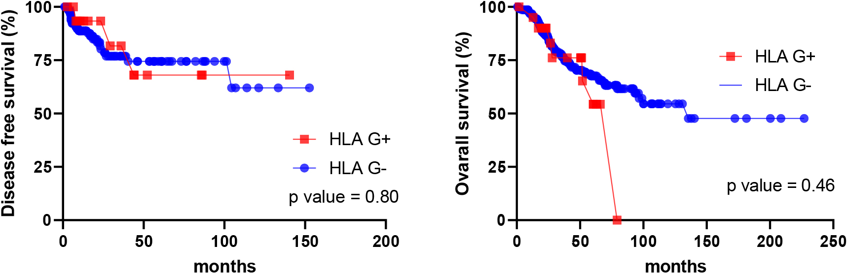 HLA-G expression vs DFS (left) and OS (right) in cohort 2.