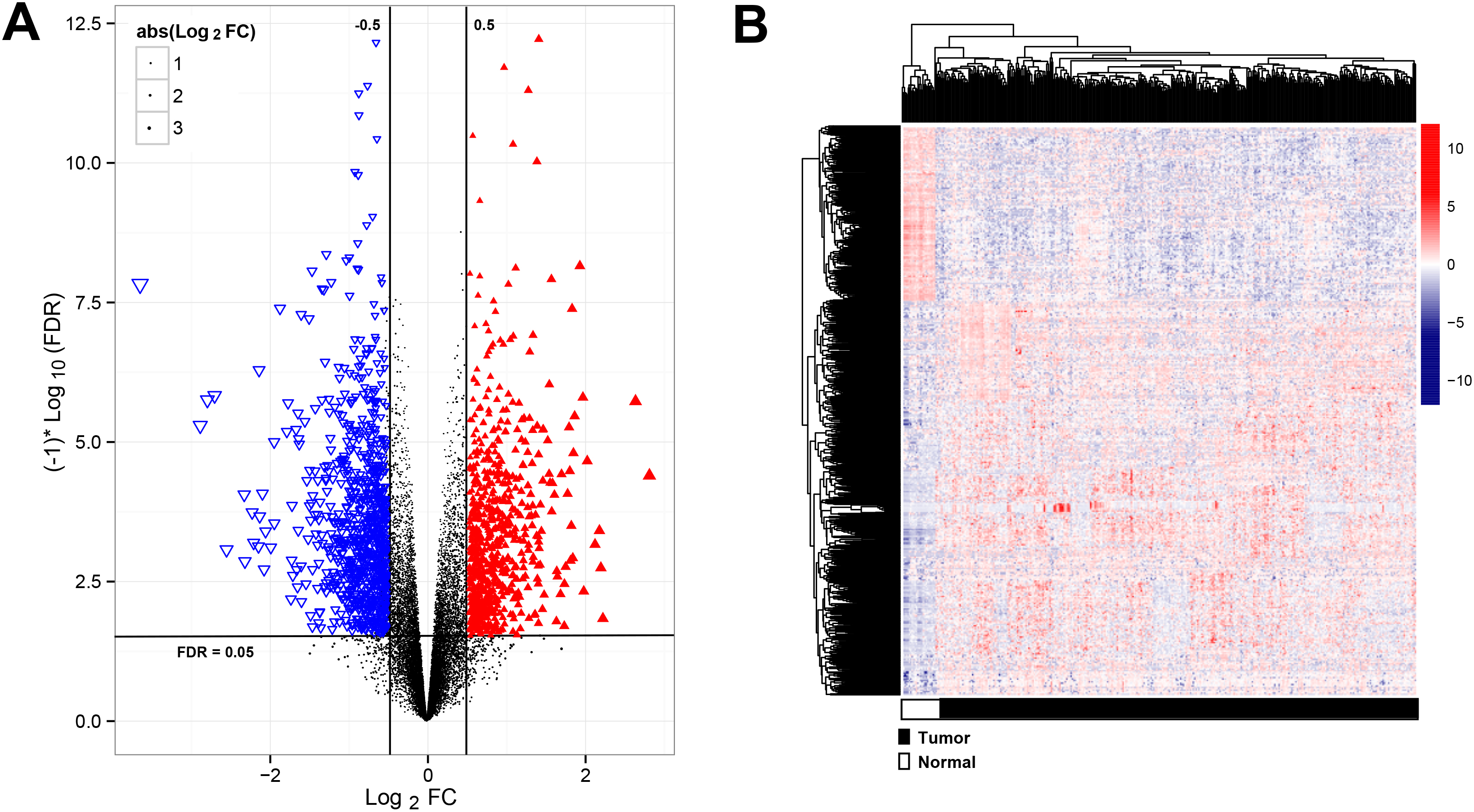 Analysis of significantly differentially expressed RNAs (DERs). (A) the volcano plot showed the significantly DERs, red points were up-regulated RNAs, blue points were down-regulated RNAs; (B) The two-way clustering of DERs, n= 401.